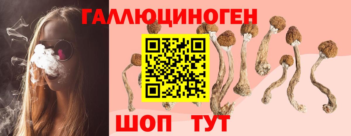 Псилоцибиновые грибы прущие грибы Тосно