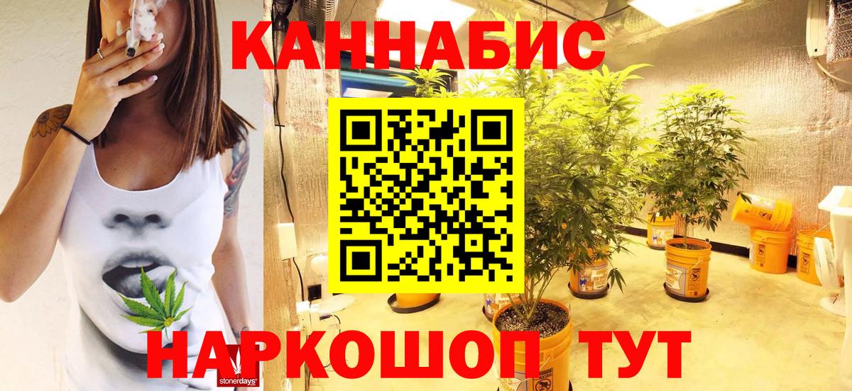 Тосно  Конопля VHQ  Вход с VPN  Конопля планчик 